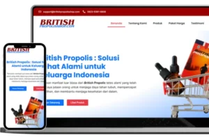 Jasa Pembuatan Website UMKM